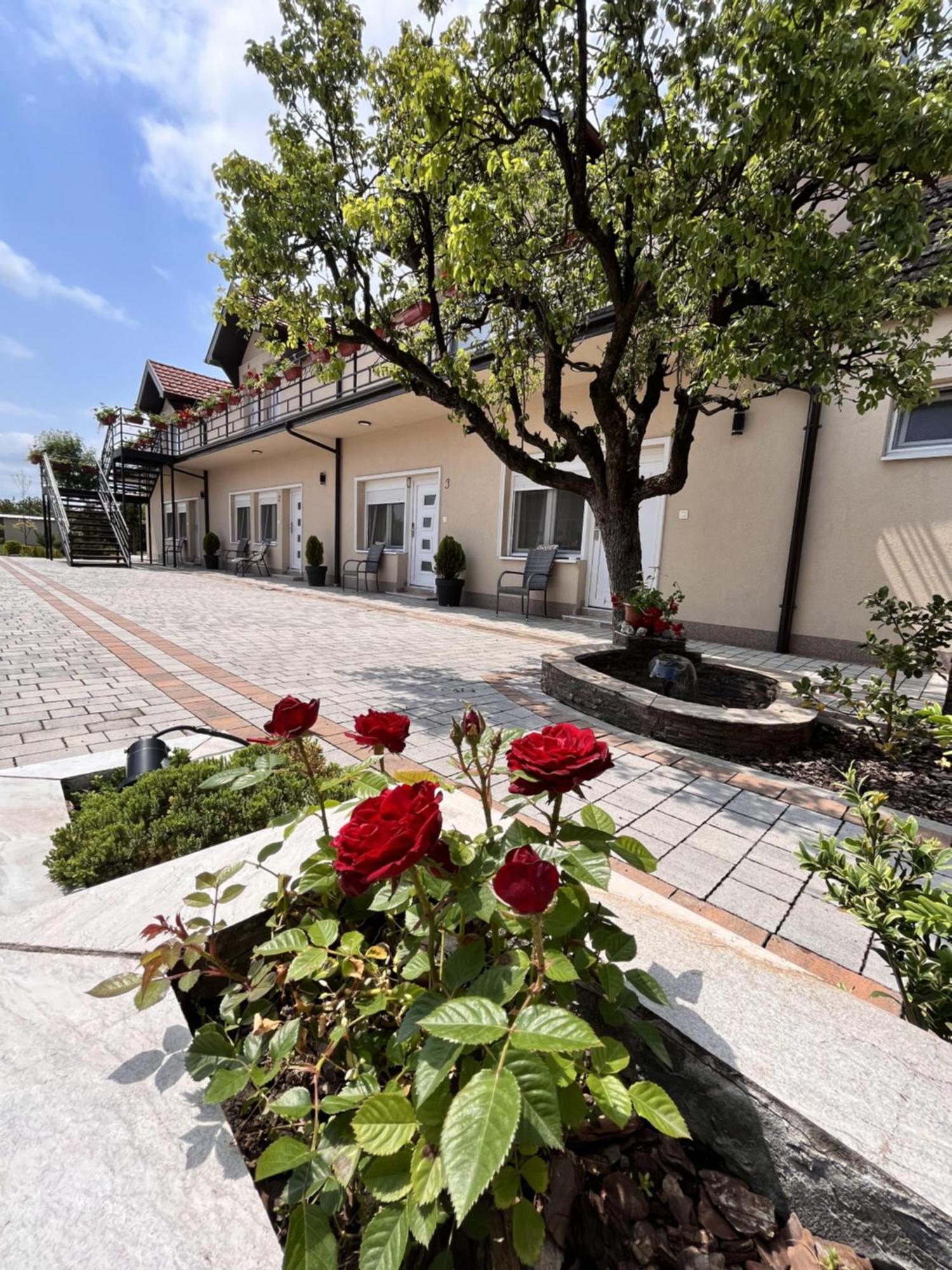 Kovac Residence Zrenjanin Exterior foto